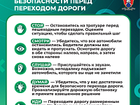 Основные правила безопасности перед переходом дороги
