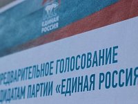 Около половины участников предварительного голосования «Единой России» - новички в политике