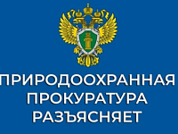 Саратовская межрайонная природоохранная прокуратура разъясняет изменения, внесенные в законодательство об охоте