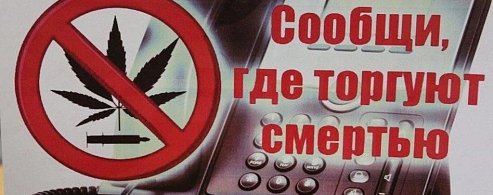 Сообщи, где торгуют смертью