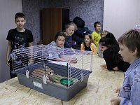 Юные саратовцы включились в «Марафон зеленых дел»