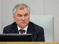 Ответ Вячеслава Володина Юлии Клёкнер