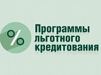 В РФ запустили три программы льготного кредитования ИП и МСП