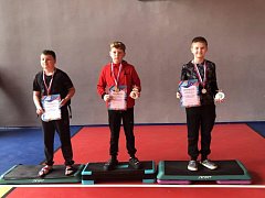 Спортивные достижения Татищевского района на первенстве по плаванию