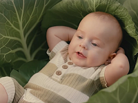 Саратовцам предлагают познакомиться с возможностями нацпроекта "Семья"