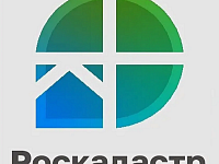 Прямая линия по вопросам предоставления сведений и выездного обслуживания