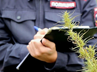 Оперативные мероприятия в рамках борьбы с незаконным оборотом наркотиков