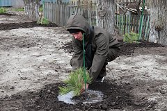 Выпускники Татищевского лицея высадили деревья на «Аллее выпускников»