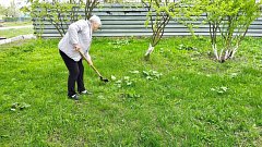 Татищевский район принял участие во Всероссийском субботнике